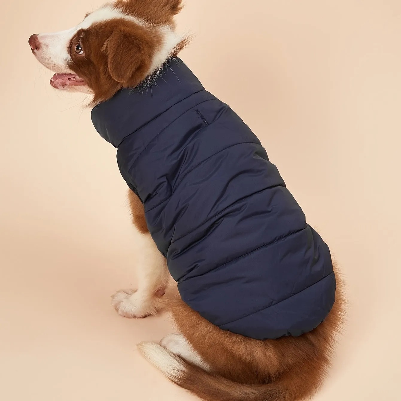 Cozy Winter Pet Jacket Warm Padded  Stylish Coat