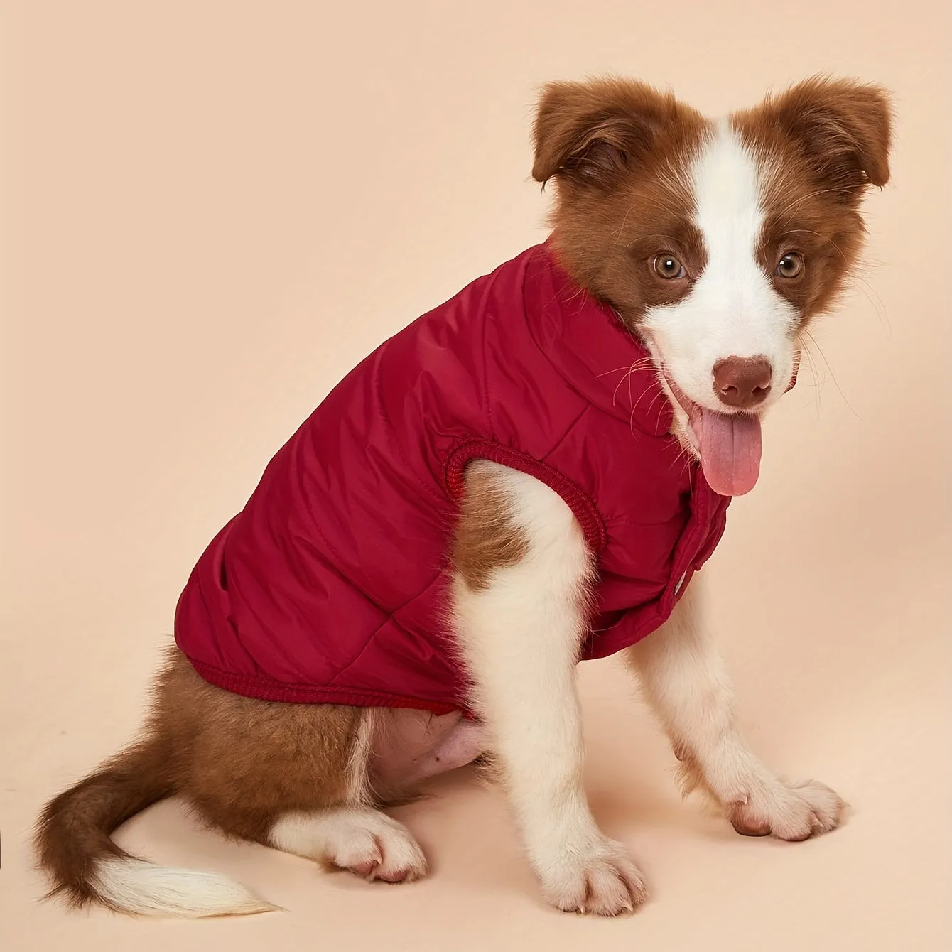 Cozy Winter Pet Jacket Warm Padded  Stylish Coat