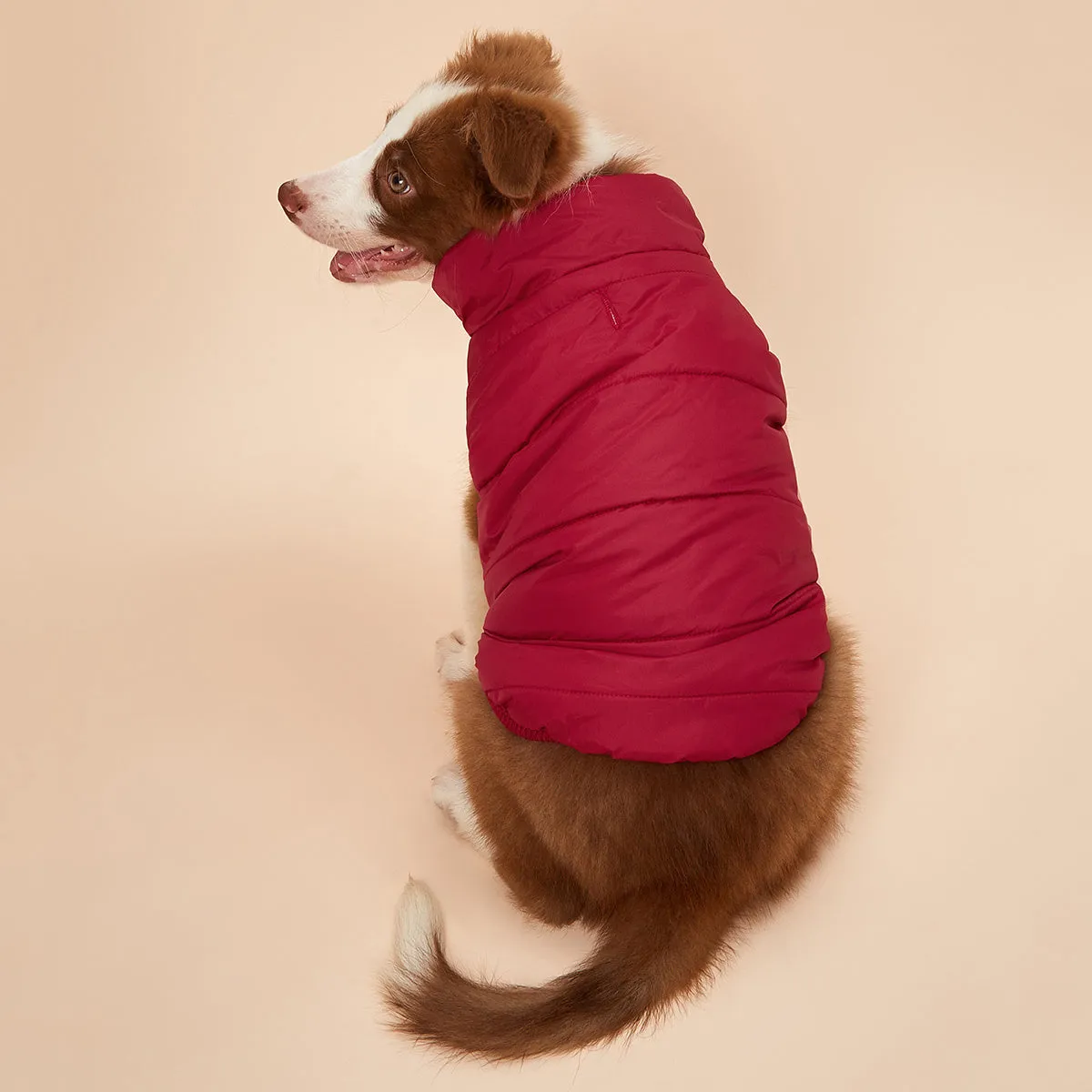 Cozy Winter Pet Jacket Warm Padded  Stylish Coat