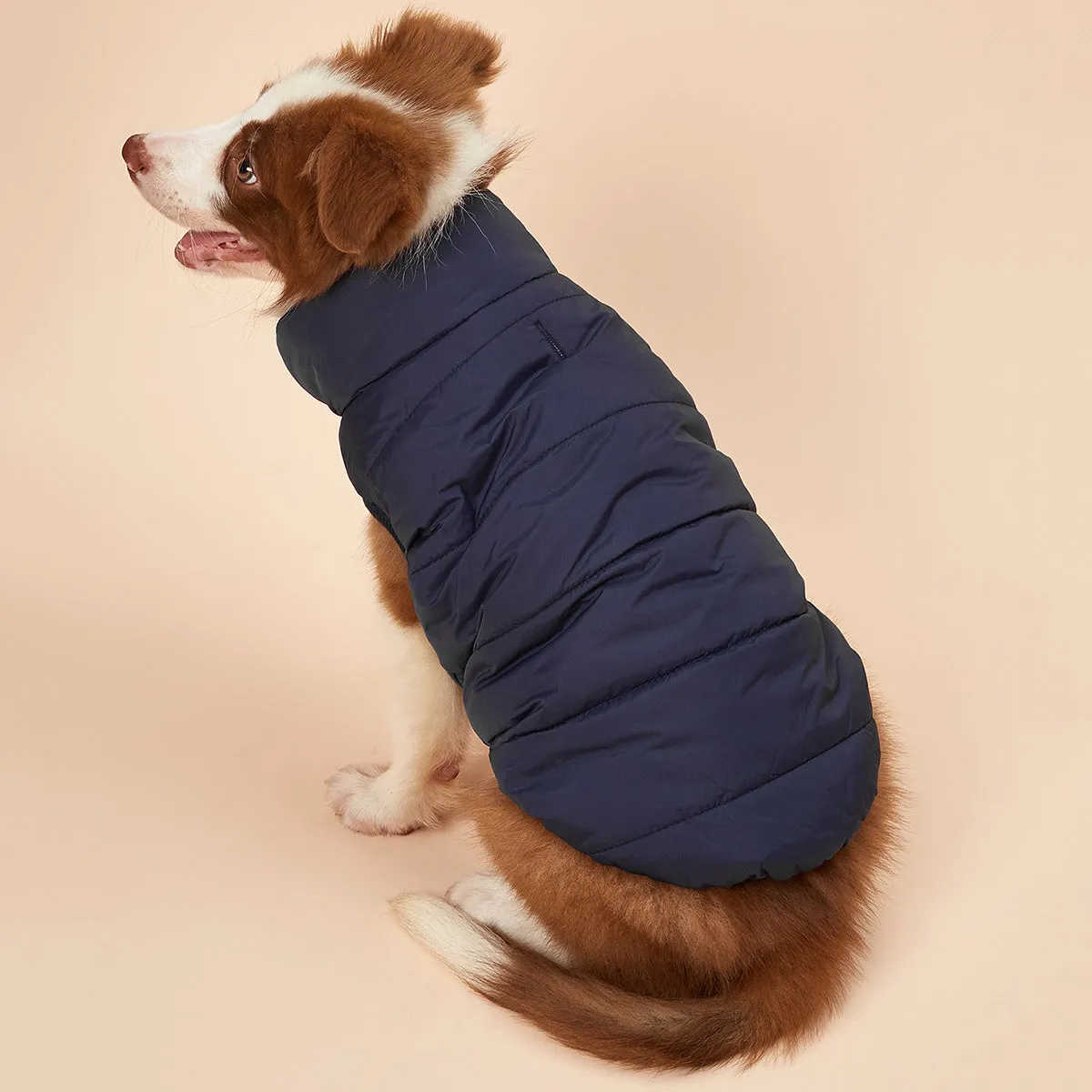 Cozy Winter Pet Jacket Warm Padded  Stylish Coat