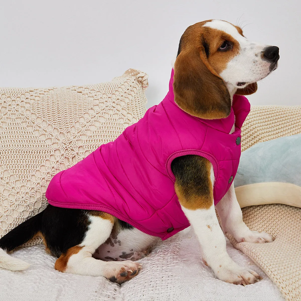 Cozy Winter Pet Jacket Warm Padded  Stylish Coat