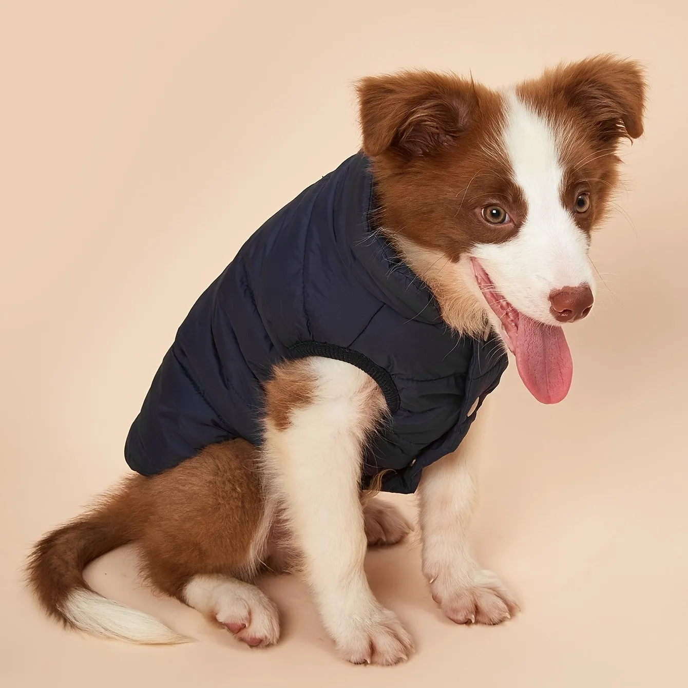 Cozy Winter Pet Jacket Warm Padded  Stylish Coat