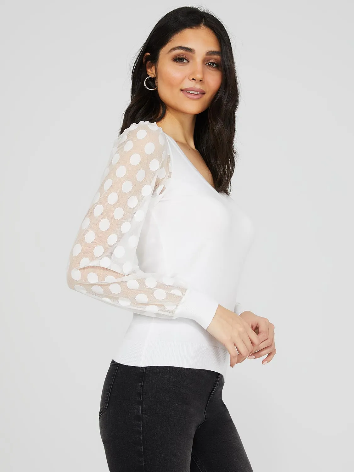 Dotted Mesh Sleeve V-Neck Sweater