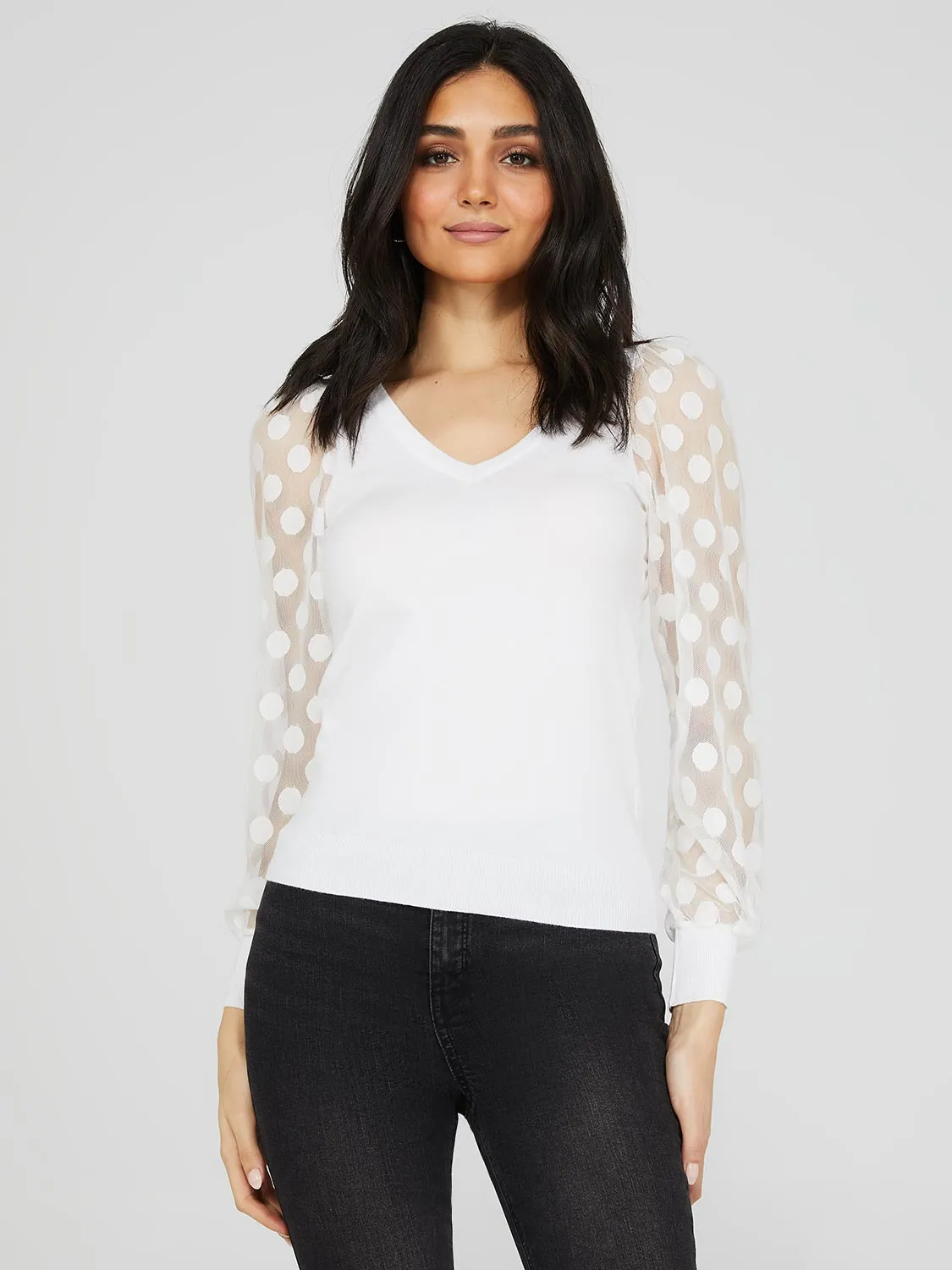 Dotted Mesh Sleeve V-Neck Sweater