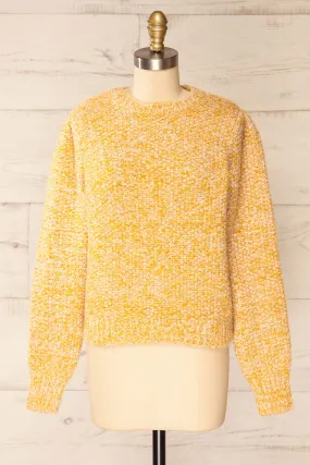 Hautmont Yellow | Round Collar Knitted Sweater