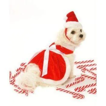 Santa Girl Harness Dress w/Hat & Leash