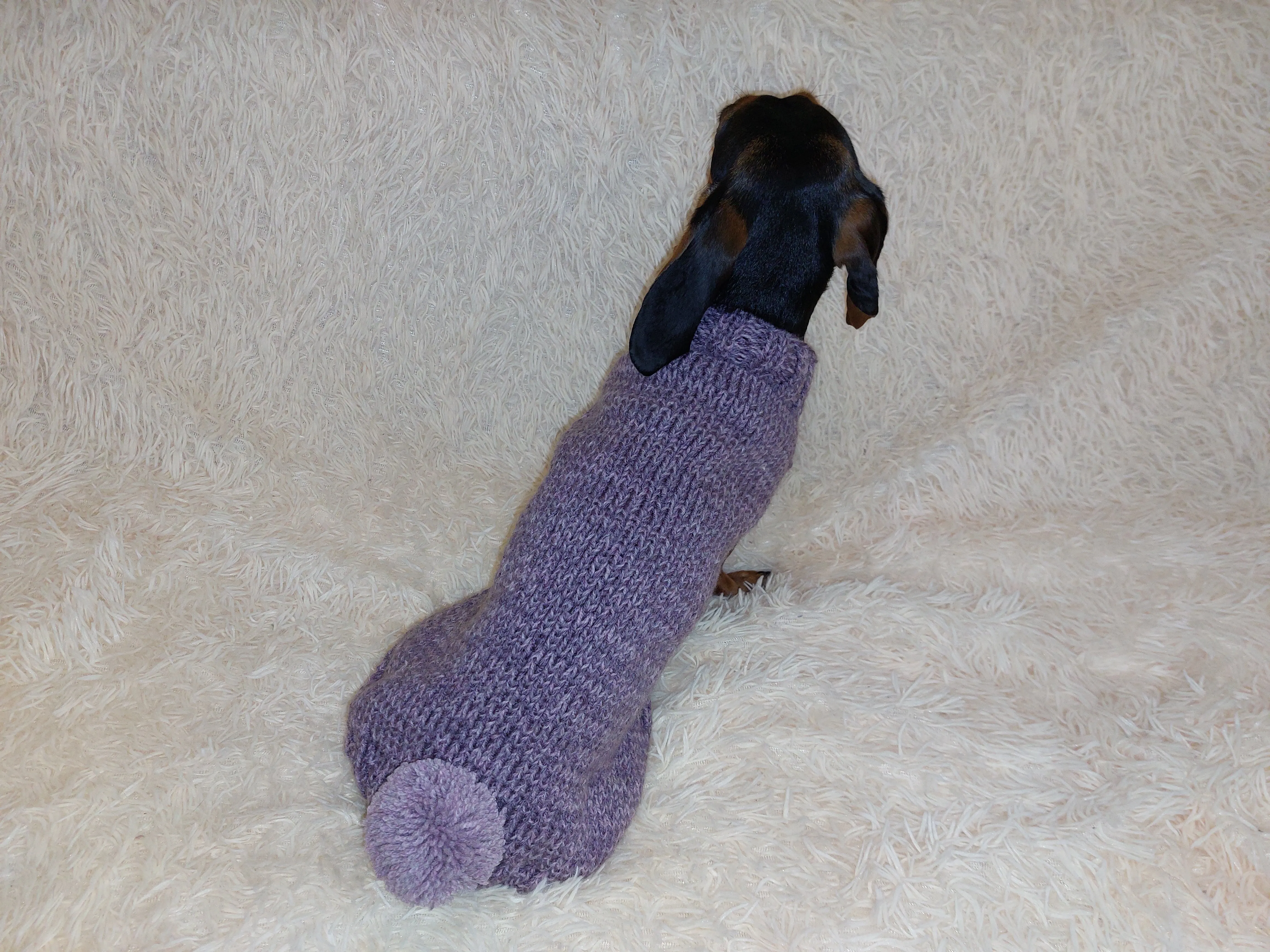 Sweater with pompom for dachshund puppy or small dog knitted of angora wool handmade.