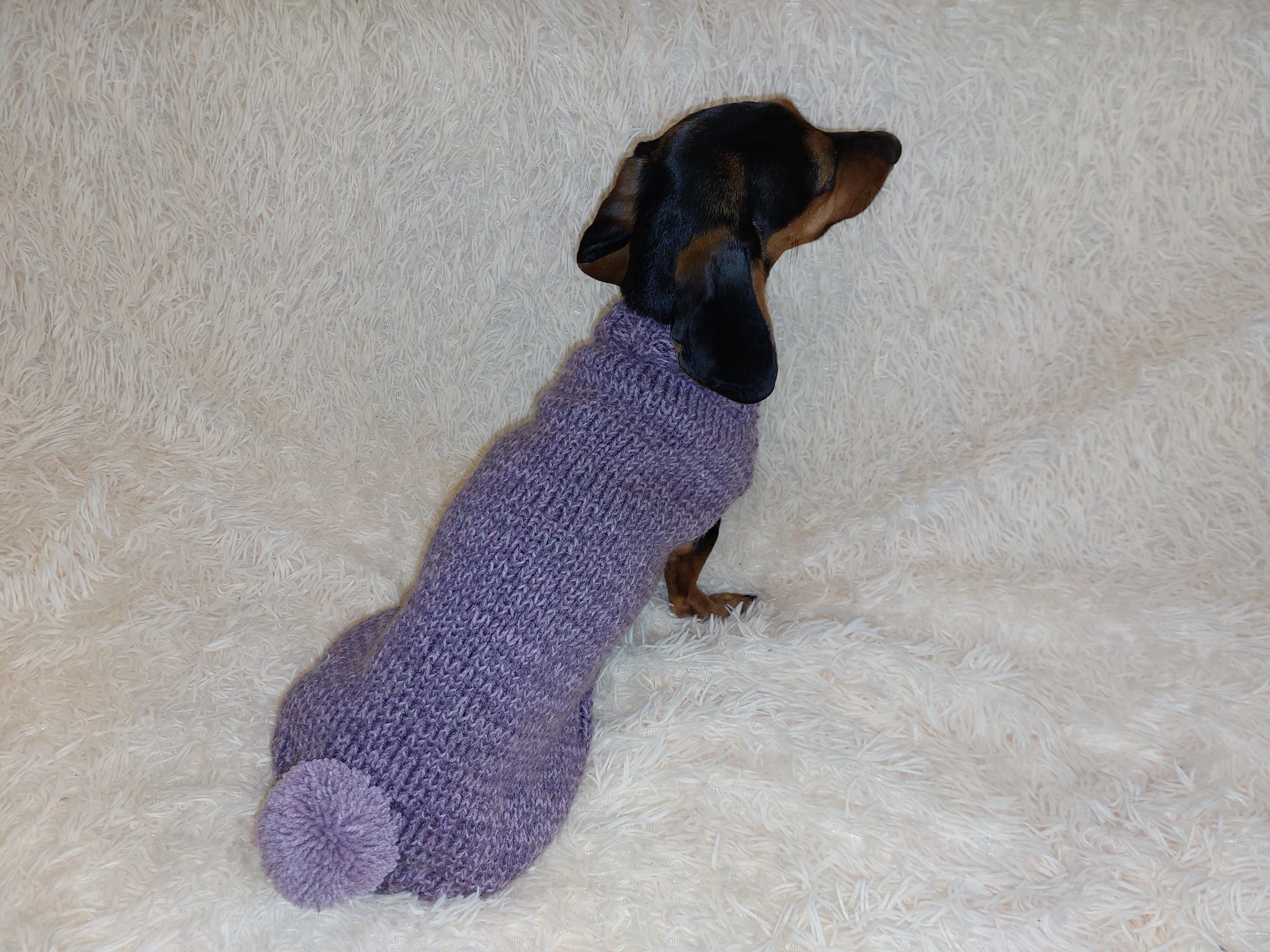 Sweater with pompom for dachshund puppy or small dog knitted of angora wool handmade.