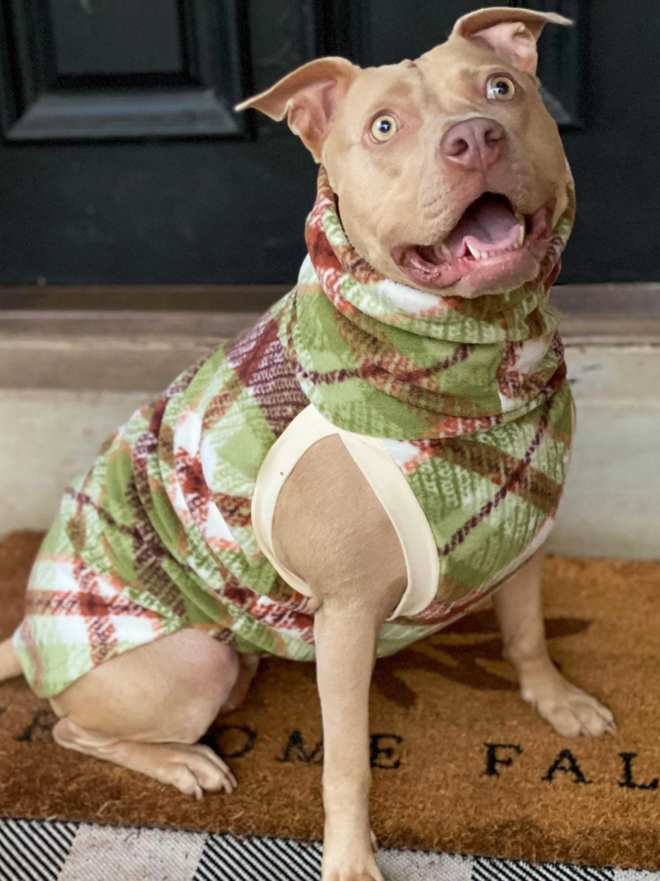 The Autumn Plaid Dog Sweater