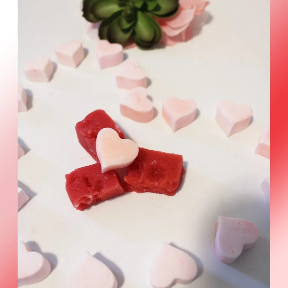 Watermelon Sorbet Wax Melts